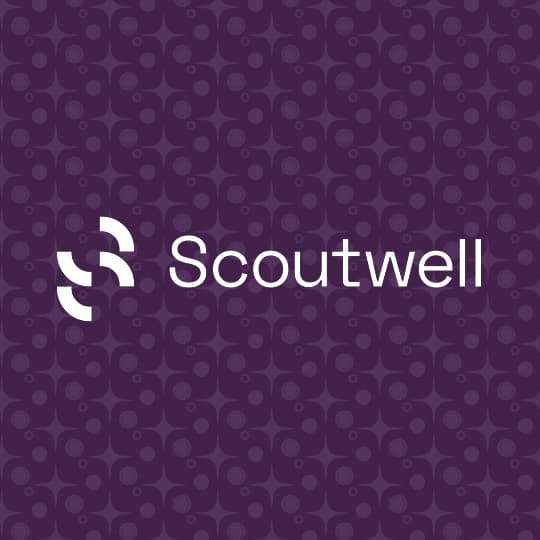 Scoutwell Blackberry Citrus 1:2 CBN 100 Gummy 33pc | Scoutwell