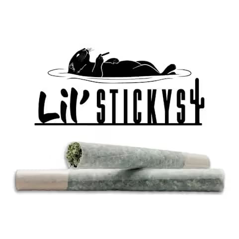 Sticky Saguaro Headband