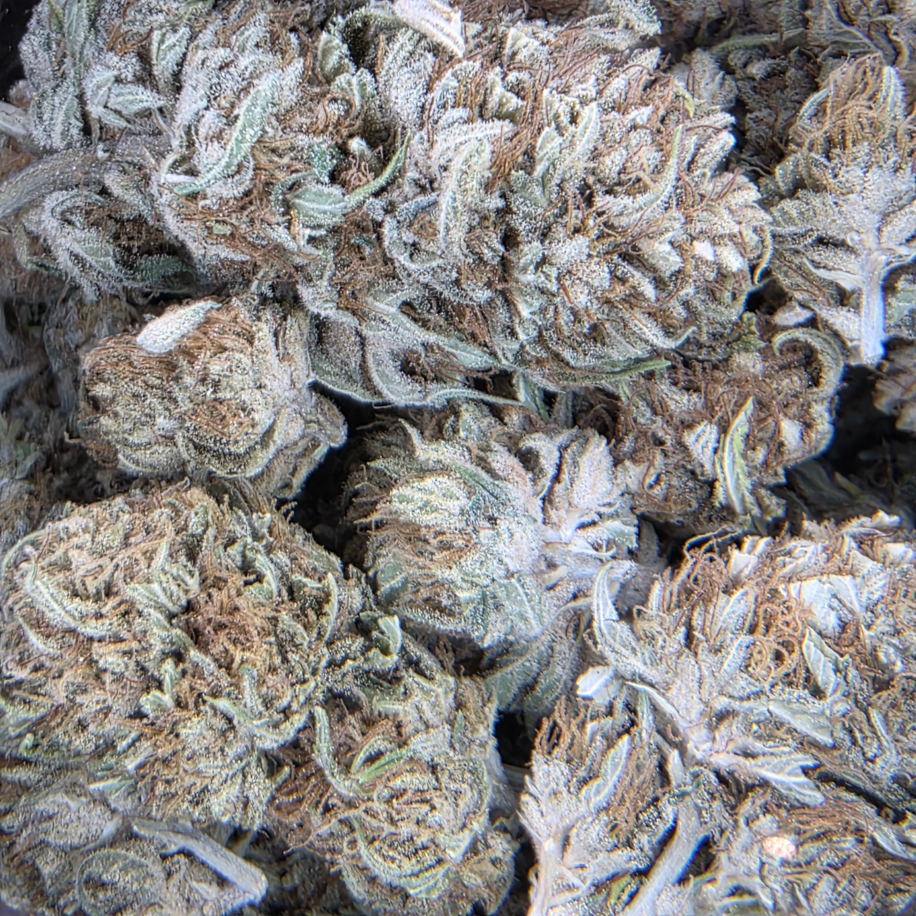 Simply Sol LLC Lemongrass- CBG