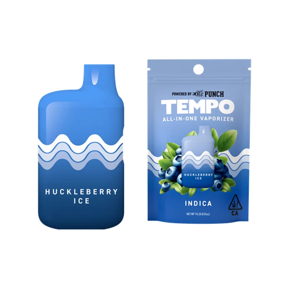 TEMPO Huckleberry Ice | 1g AIO