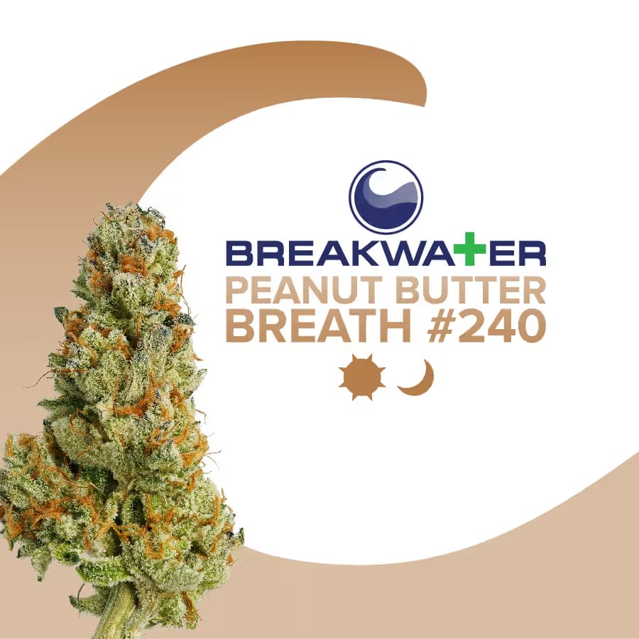 Breakwater Peanut Butter Breath #240