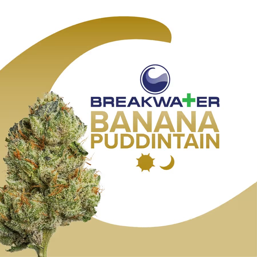 Breakwater Banana Puddintain