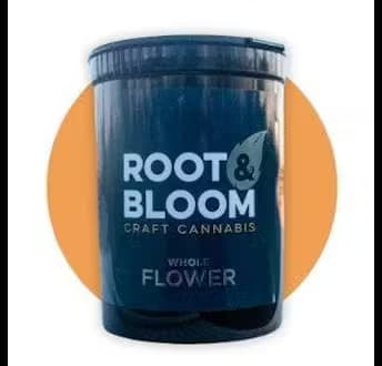Root & Bloom