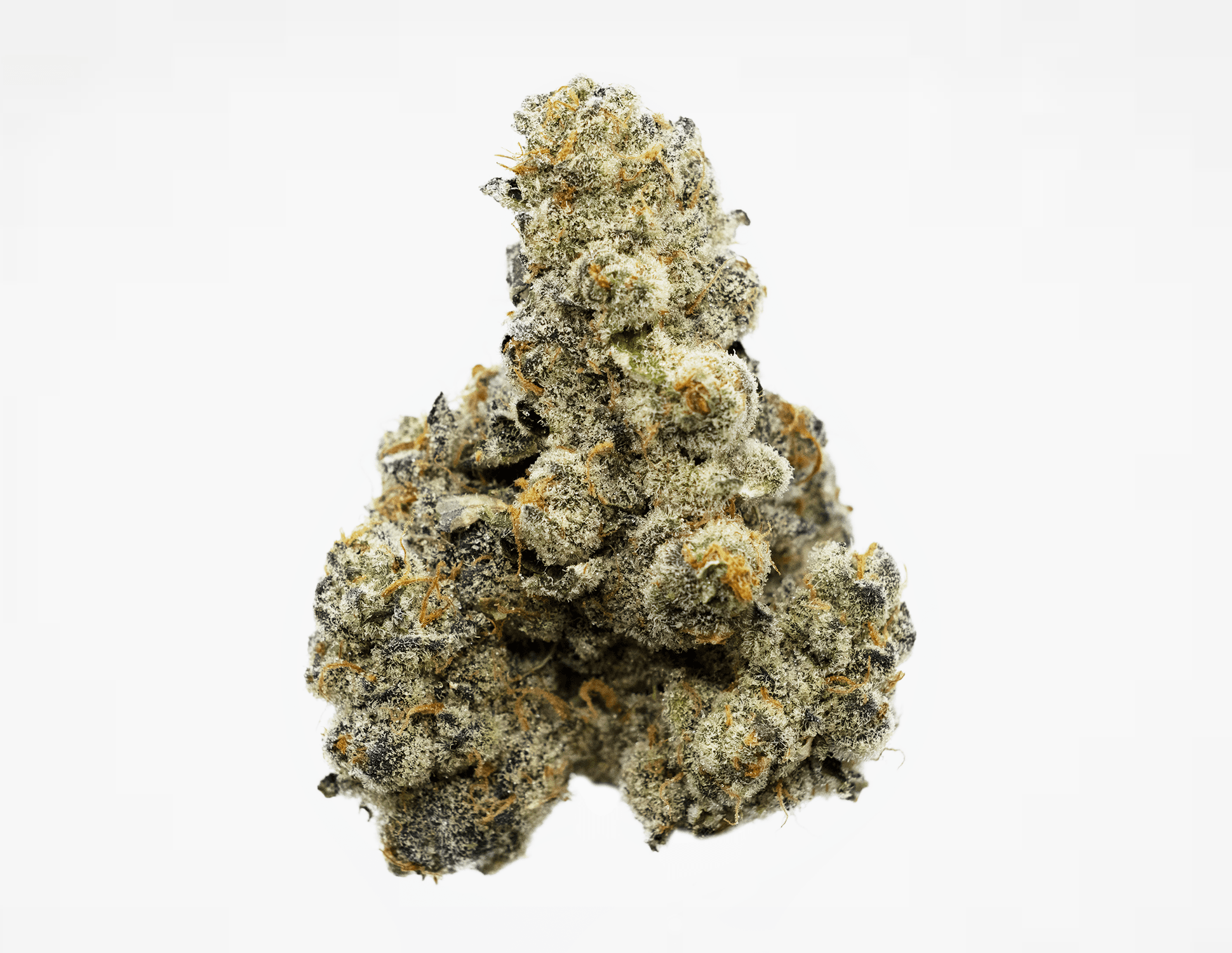 CANA Reserve Spritzer | 3.5g