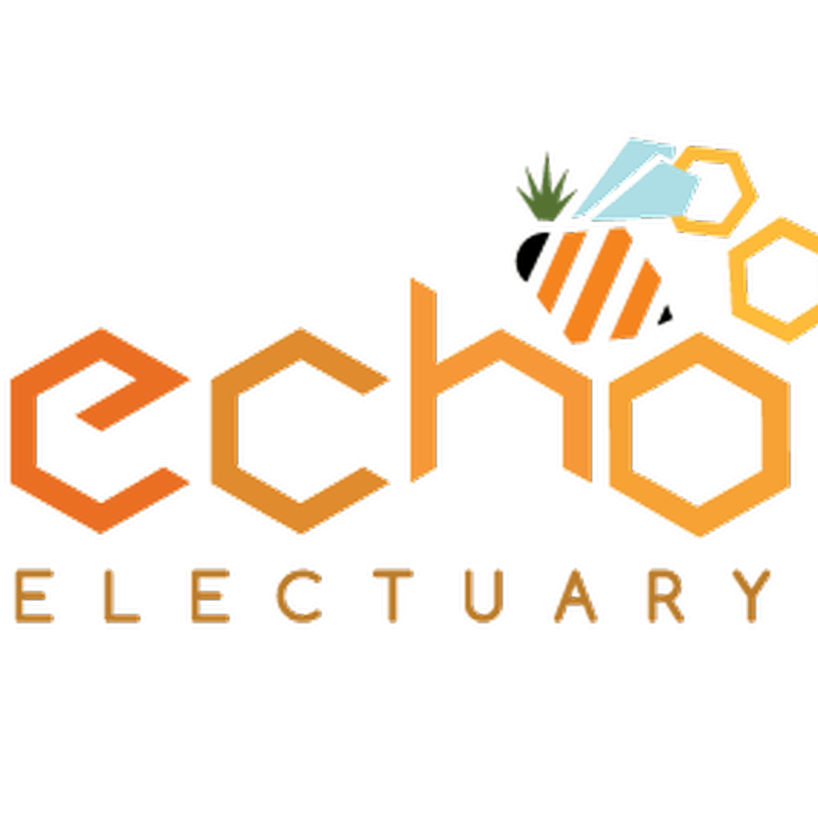 Echo Electuary Sub Zero Live Rosin
