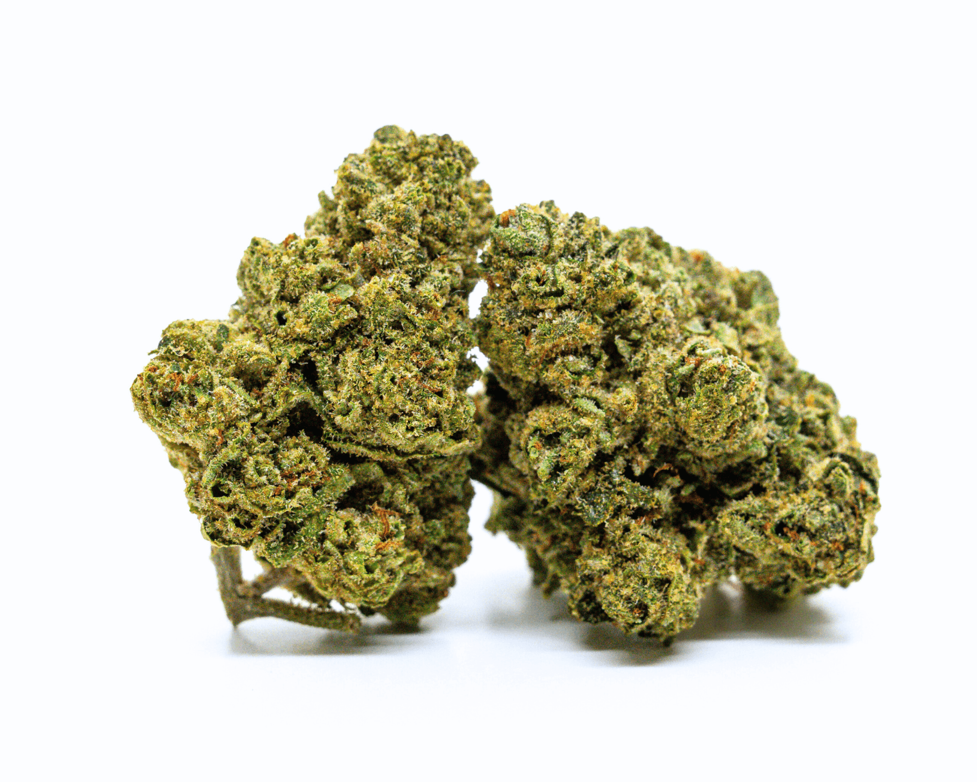 AGApoth Black Martini - Premium Sungrown