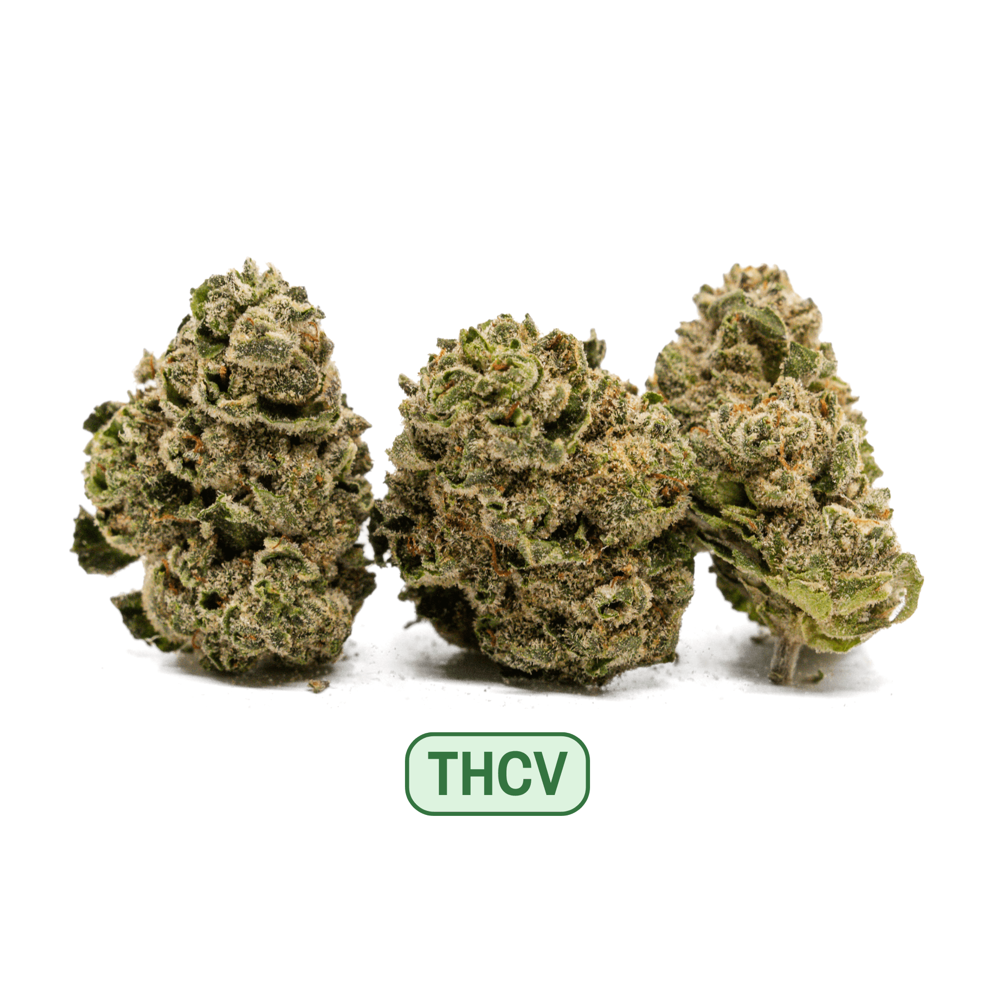 AGApoth THCV Get Sh!t Done - Select Sungrown