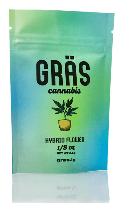 Gräs Cannabis