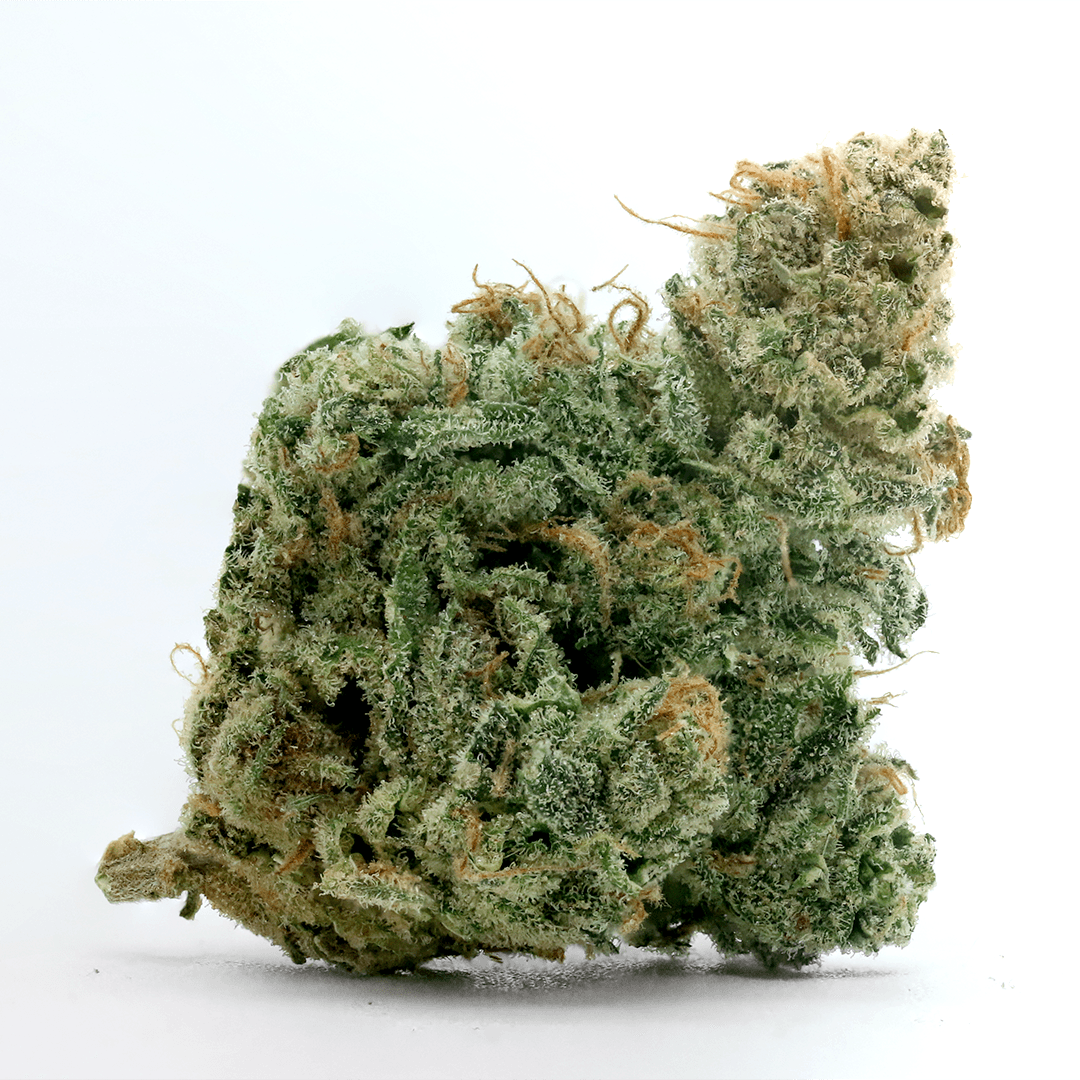 Premium Pakalolo Blue Dream - Popcorn*