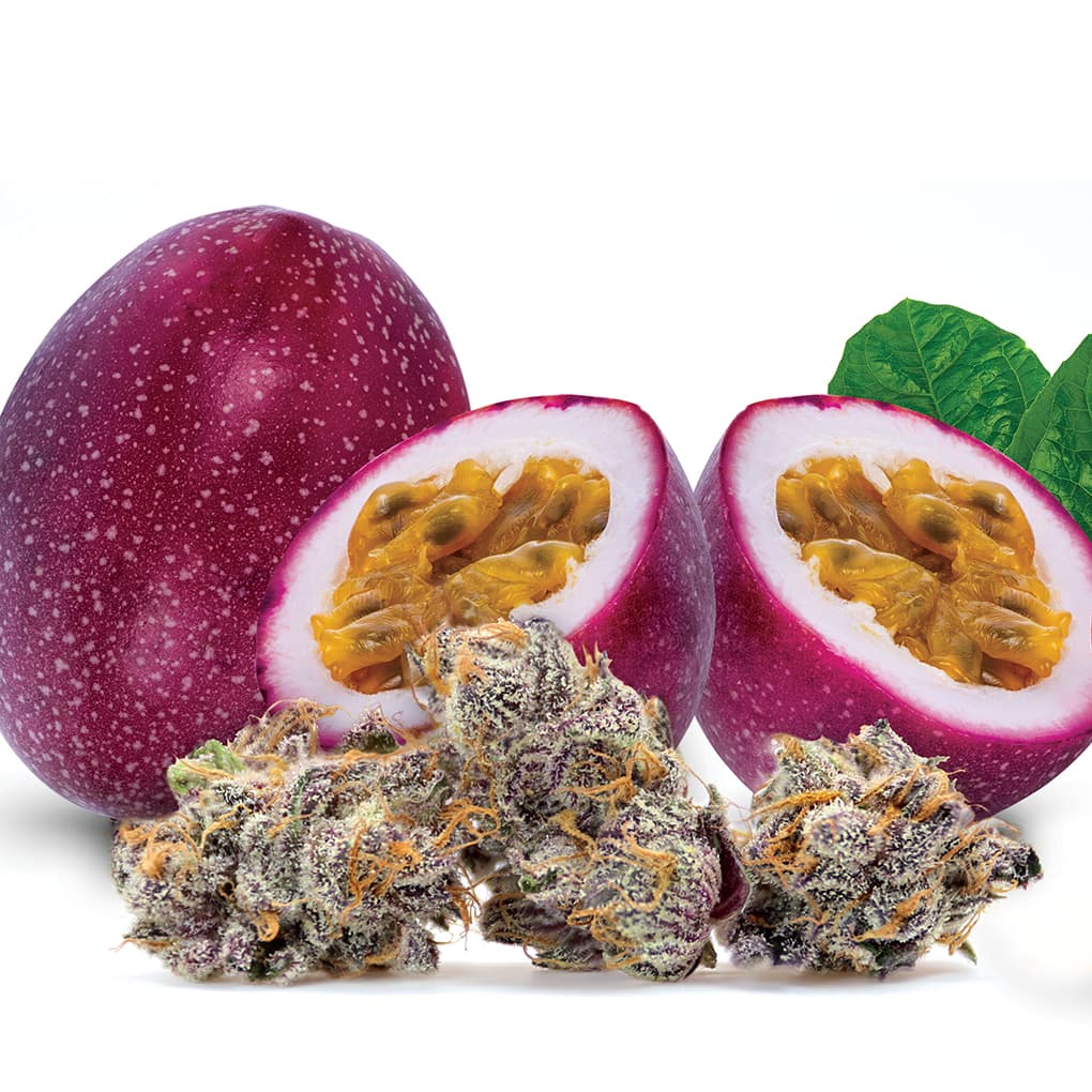 Premium Pakalolo Purple Liliko'i - Popcorn