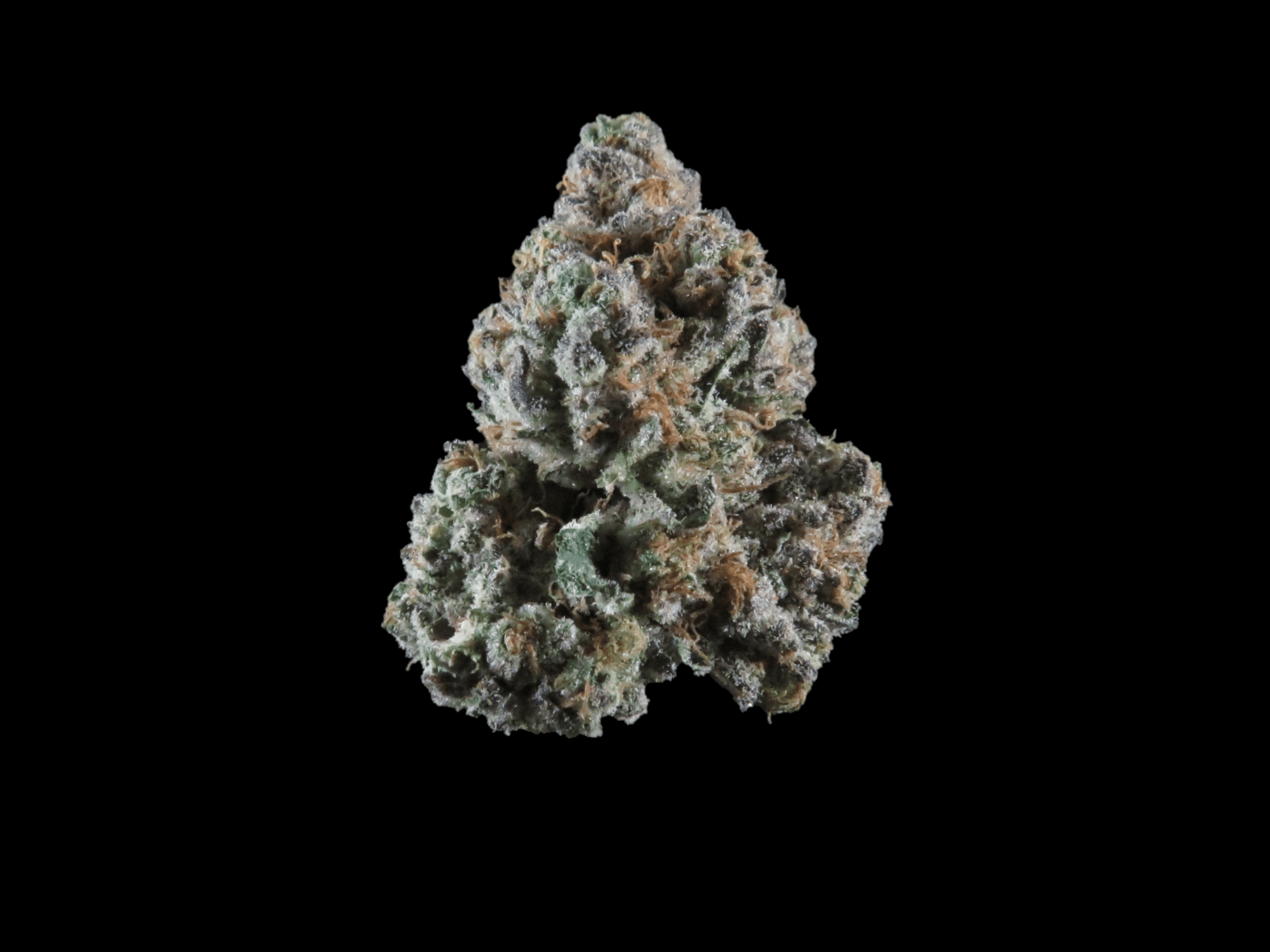 PDX Organics White Flamingo