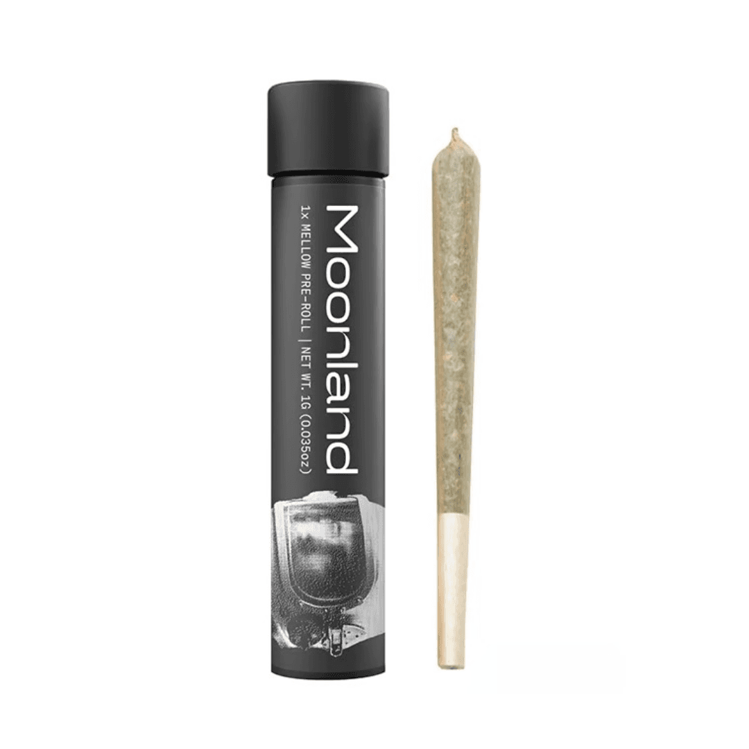 Moonland Key Lime Jack [1g]