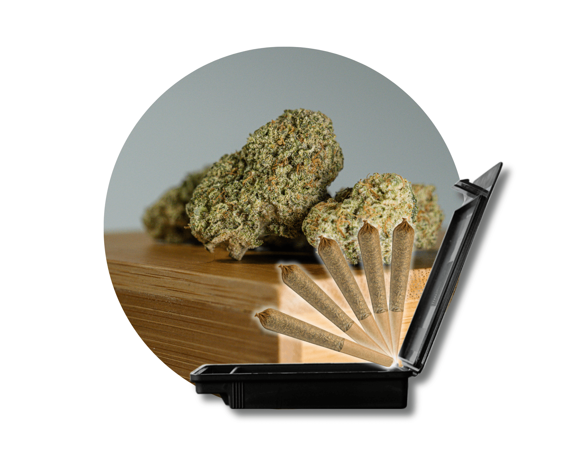 AGApoth High Tides - Gary Poppins 5ct 0.5g Pre-Rolls