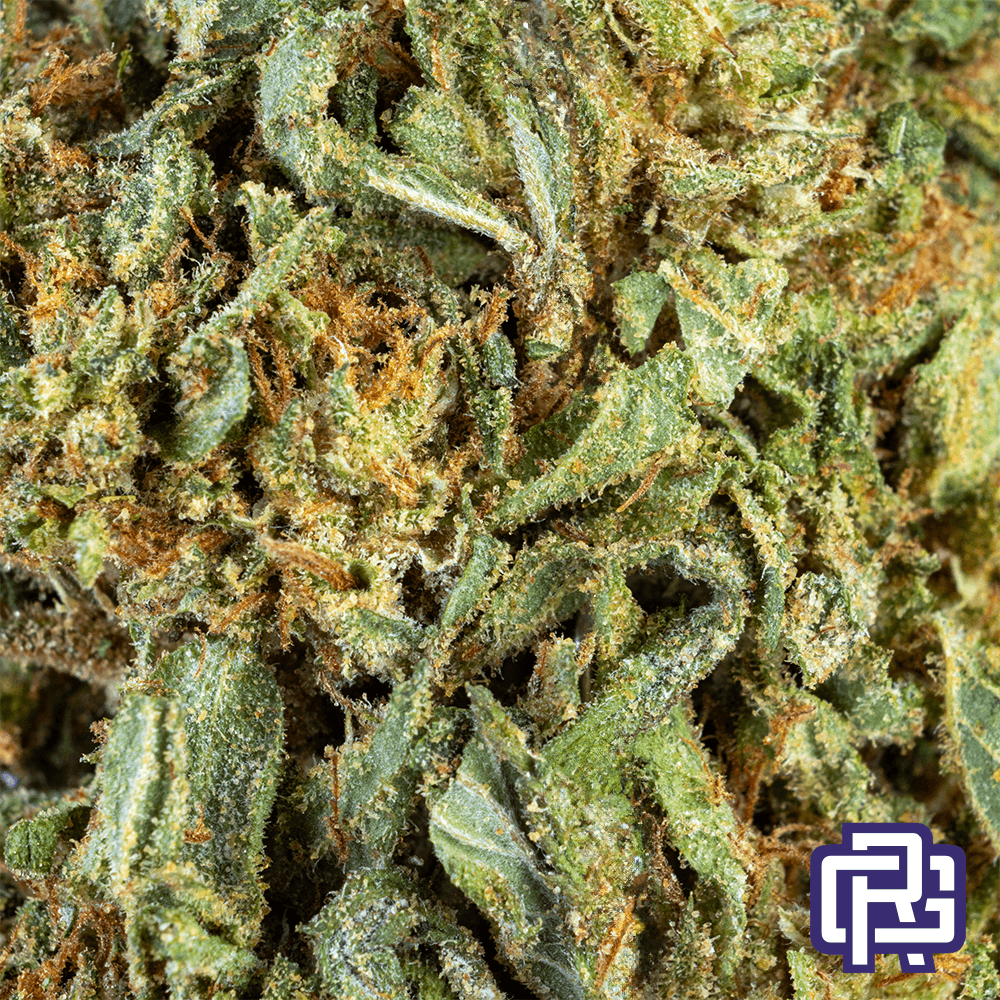 Urban Pharms Ghost Vapor OG Flower Quarter Special | Urban Pharms