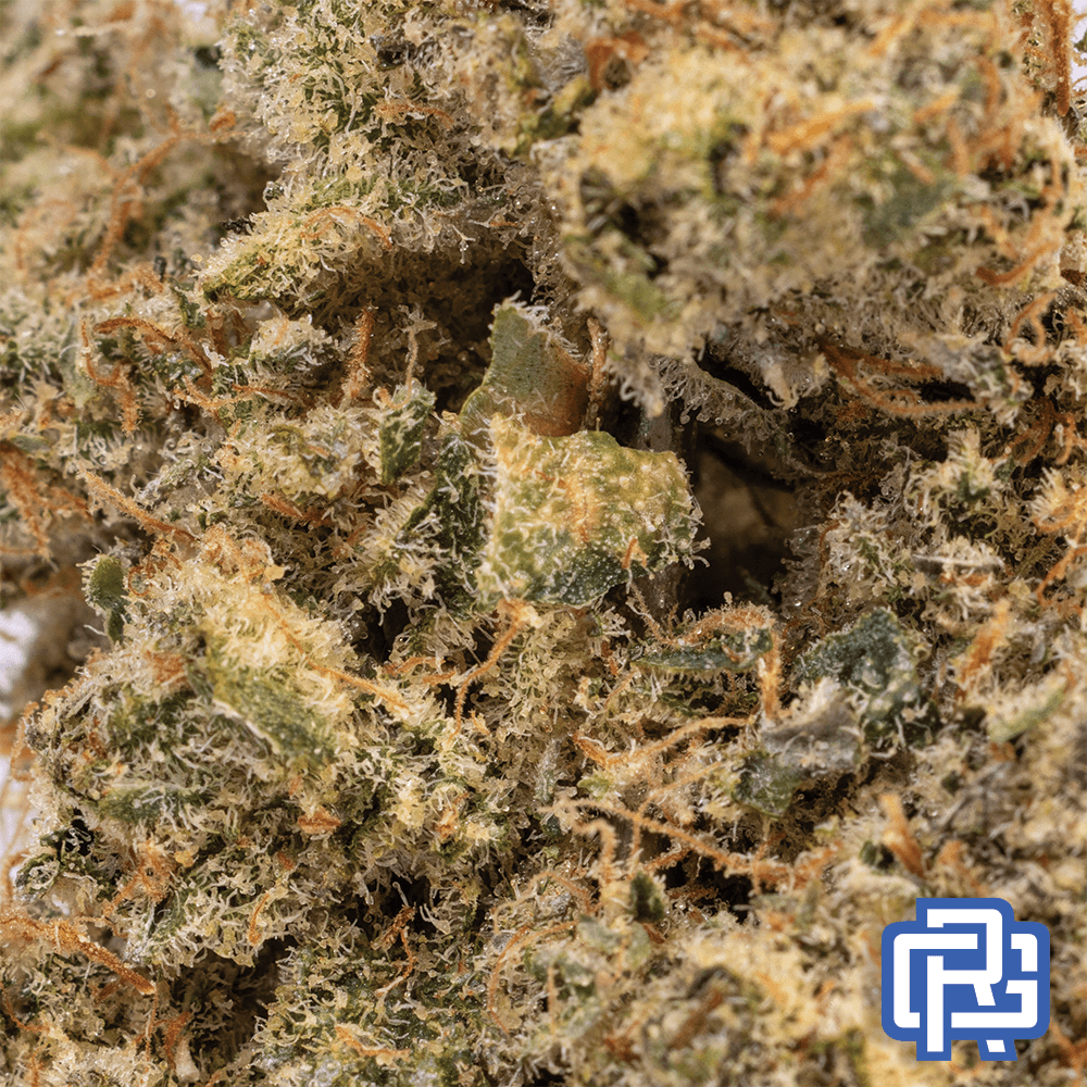 Botanikos Fruit Loops 33 Flower | Botanikos