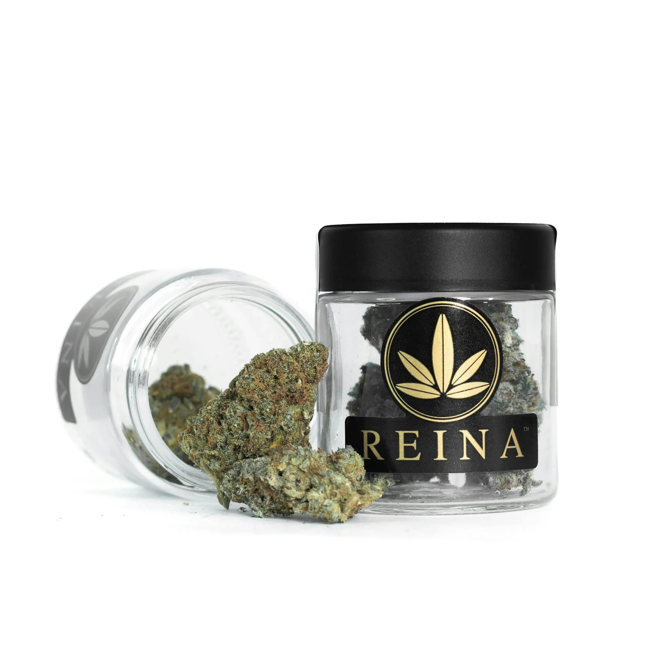 Reina Pre-rolls
