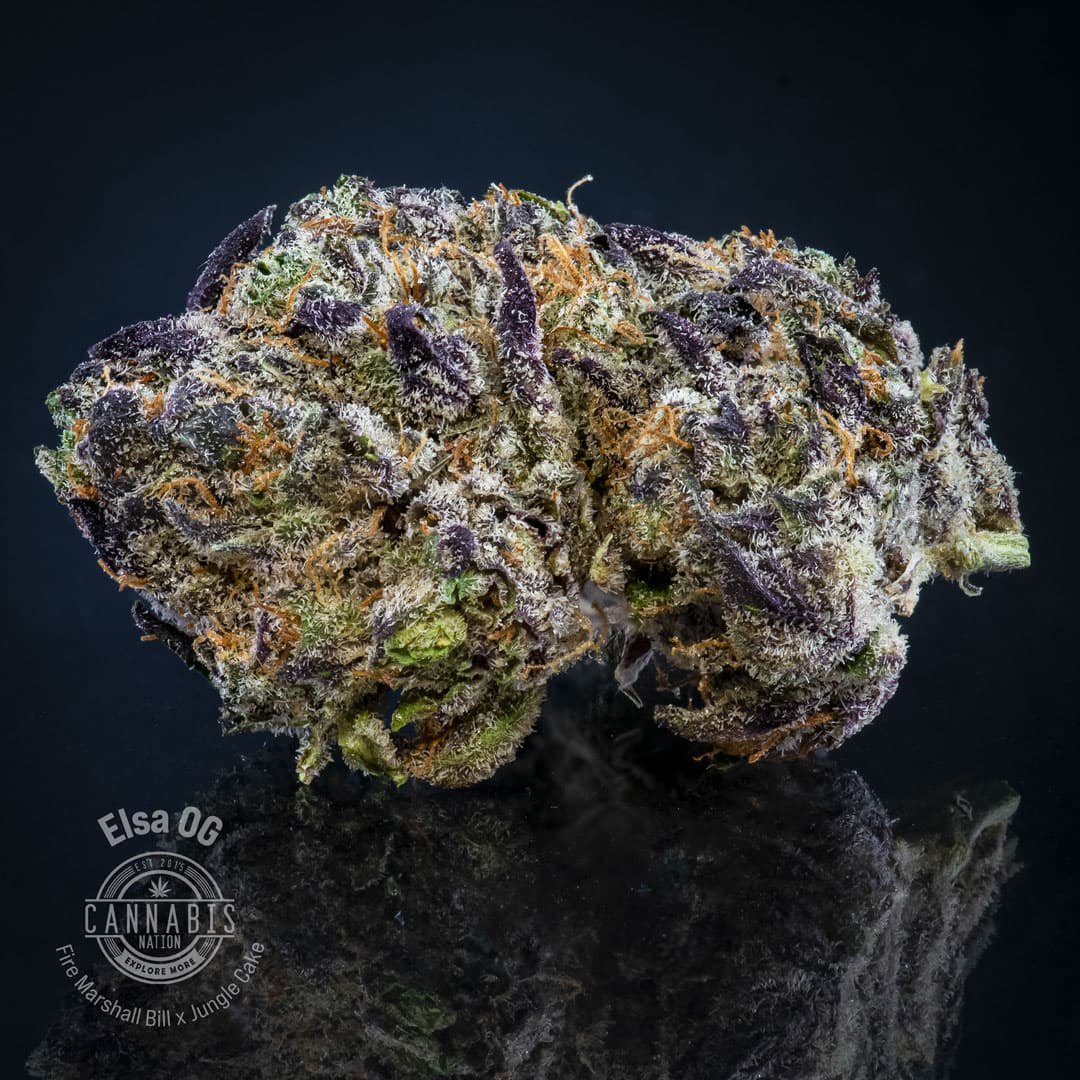 Cannabis Nation Flower | Elsa OG