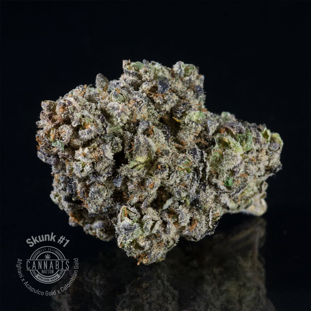 Cannabis Nation Flower | Skunk #1