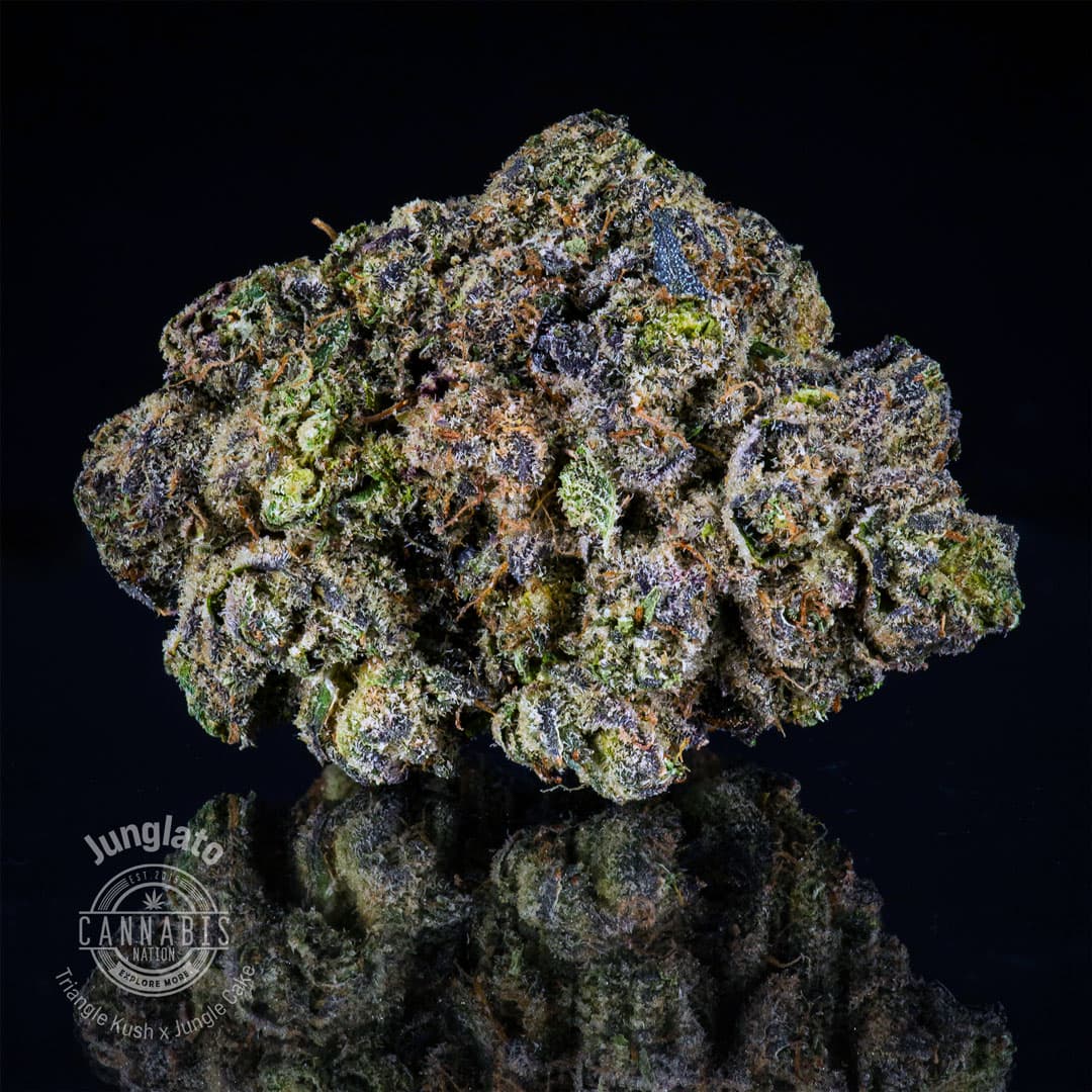 Cannabis Nation Flower | Junglato