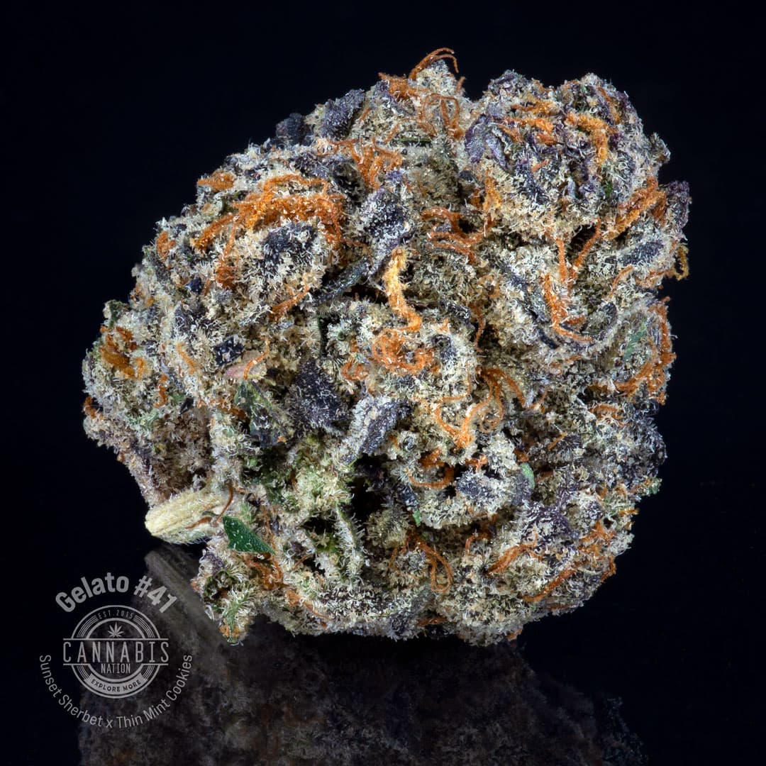 Cannabis Nation Flower | Gelato 41