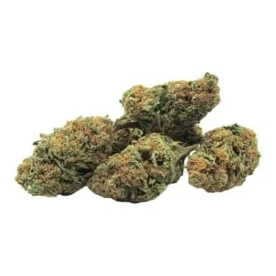 Sassy Weed