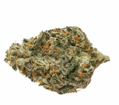 Sassy Weed