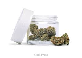 TRAILER PARK TREEZ OPEN ROAD HAZE | FLOWER