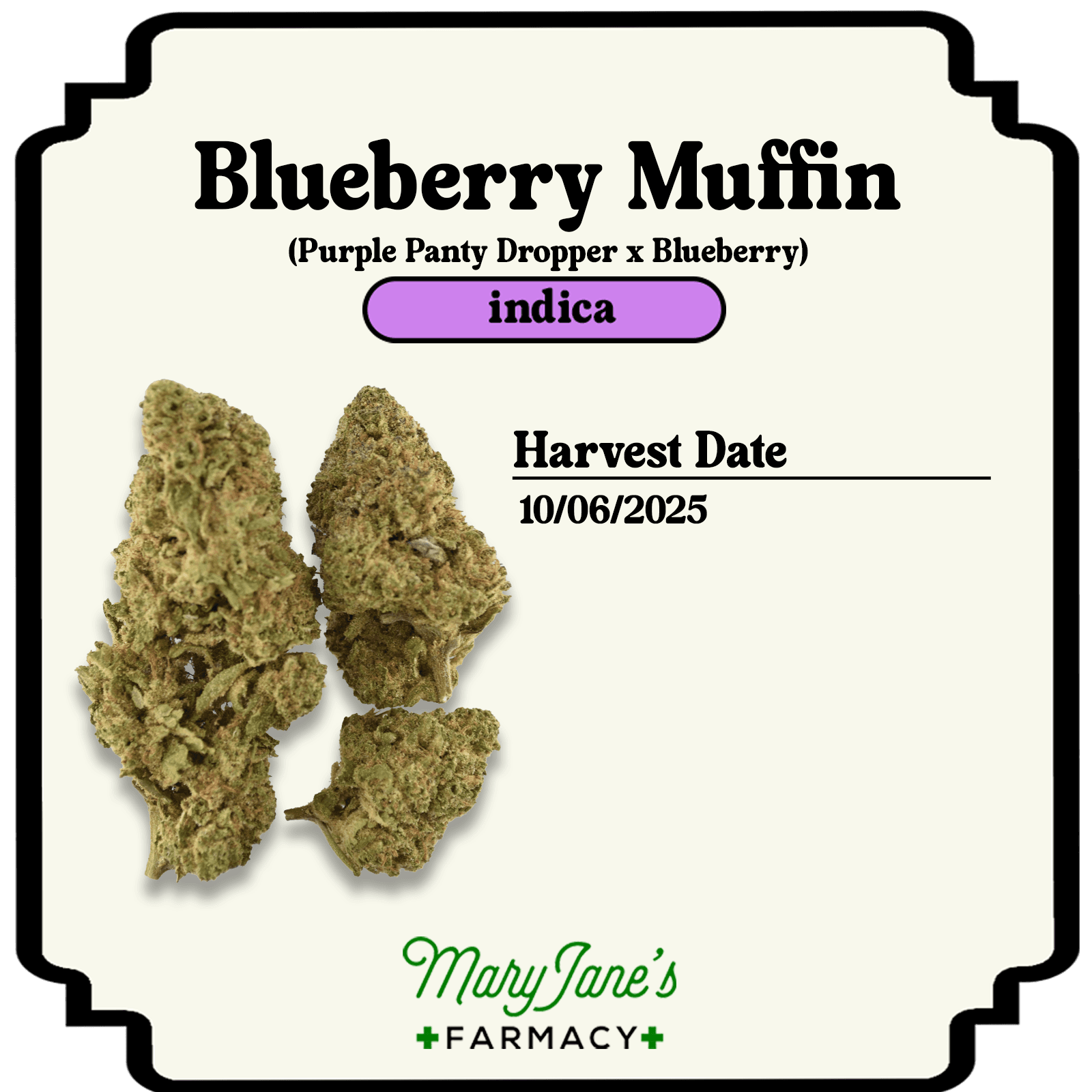 Williams Wonder Farms Blueberry Muffin