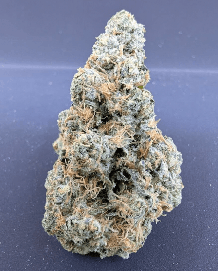 Shift Cannabis Big Buns - Buds