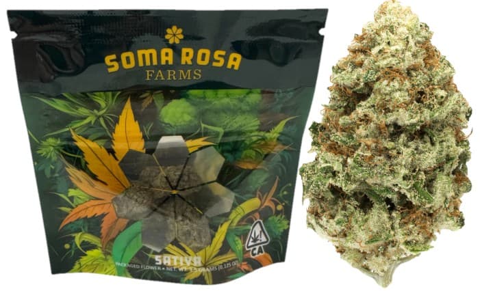 SOMA ROSA Lemon Bean