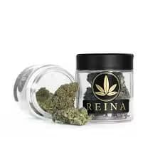 Reina Flower