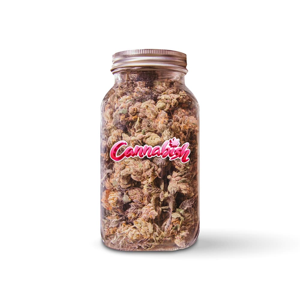 Cannabish Govermint Oasis (I/H)