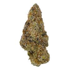 DUNN Cannabis Rotating Strain - Hybrid - - DD