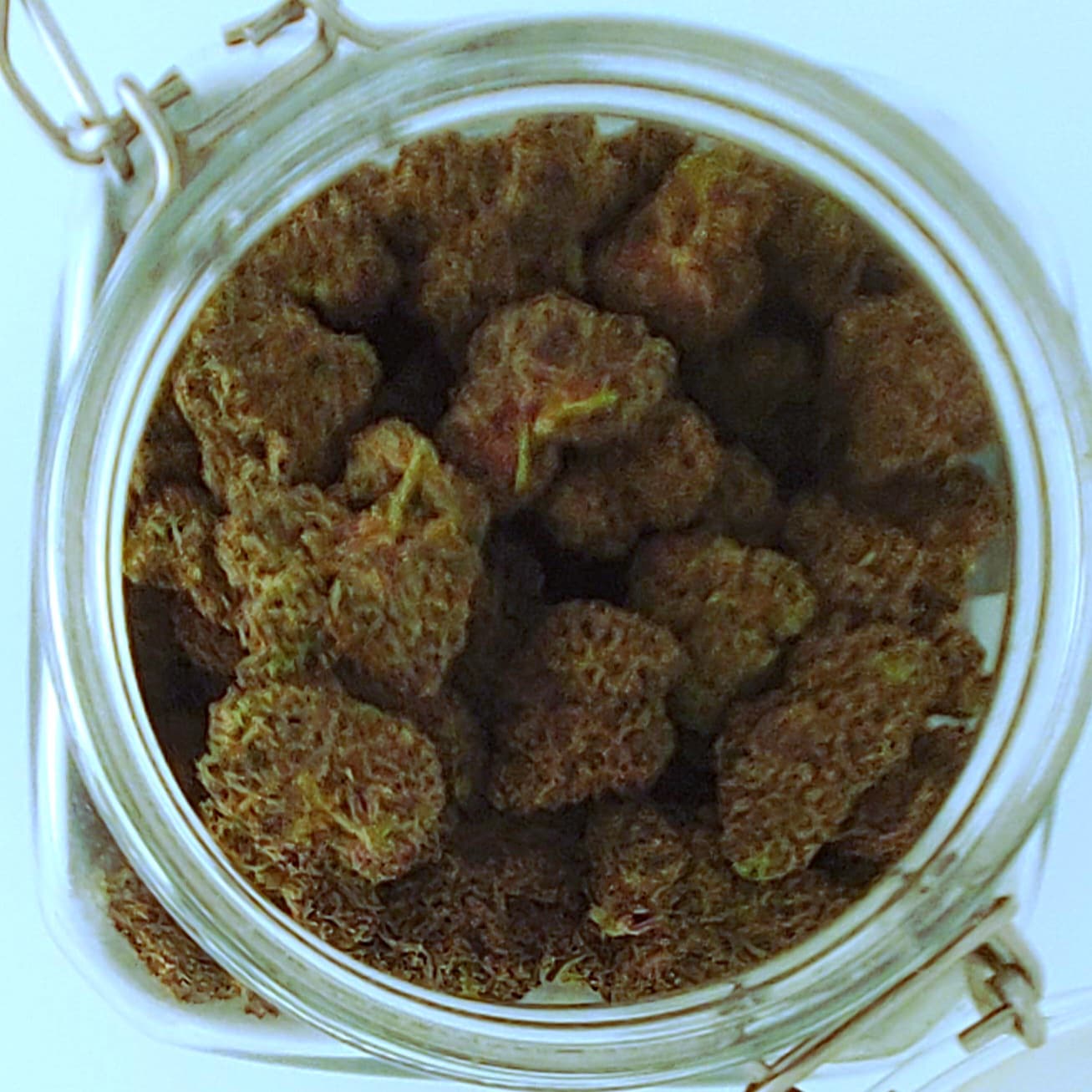 Resin Ranchers Resin Ranchers Sherbcake