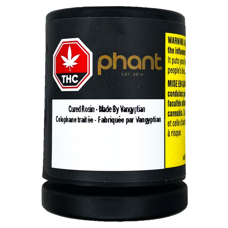 VANGYPTIAN X PHANT