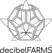 Decibel FORTE: CRAZY GRANDMA Cured Hash | 2g
