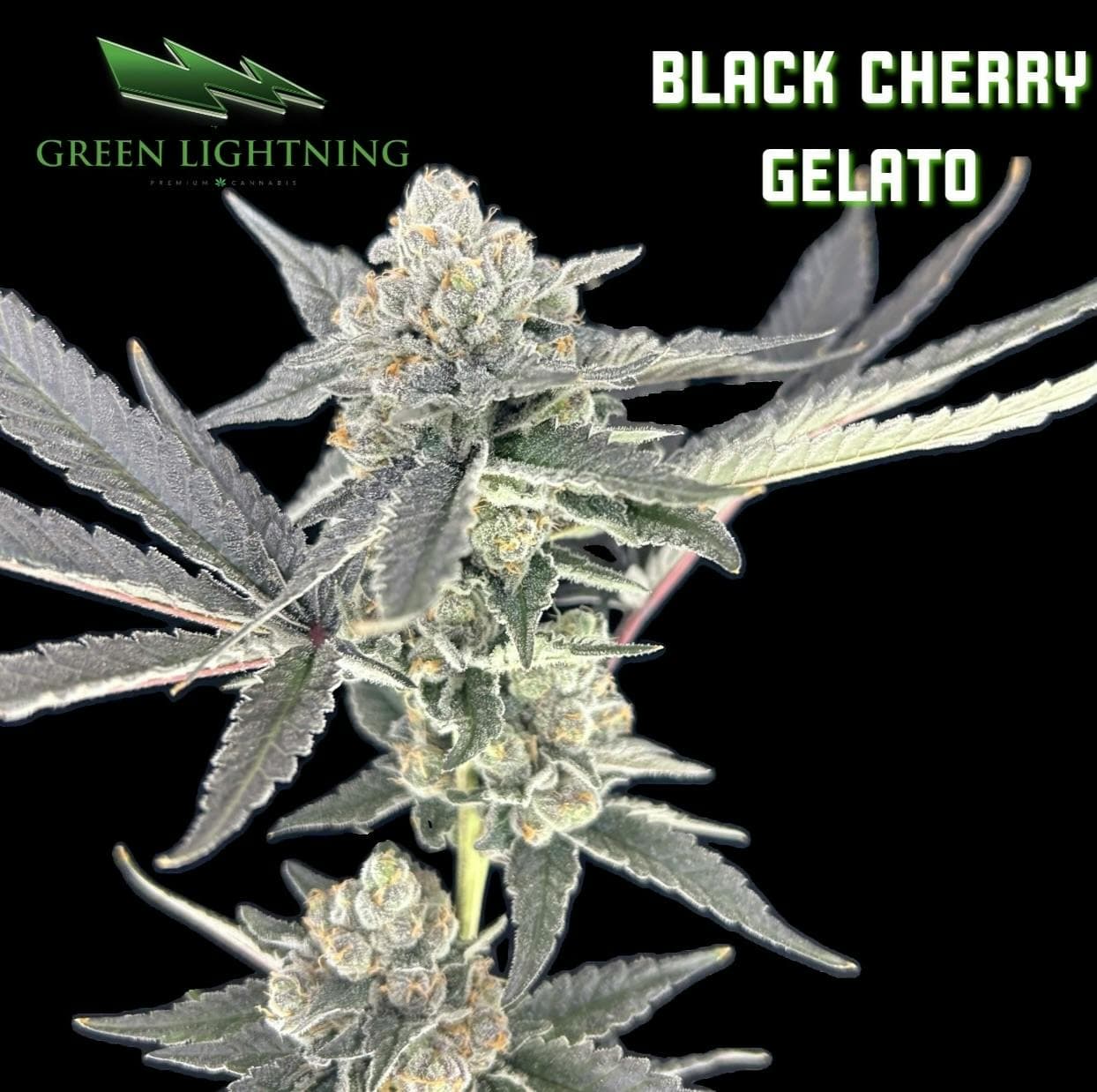 GREEN LIGHTNING