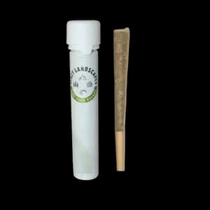 Jerzy Landscapes In-Da-Couch | Pre-roll