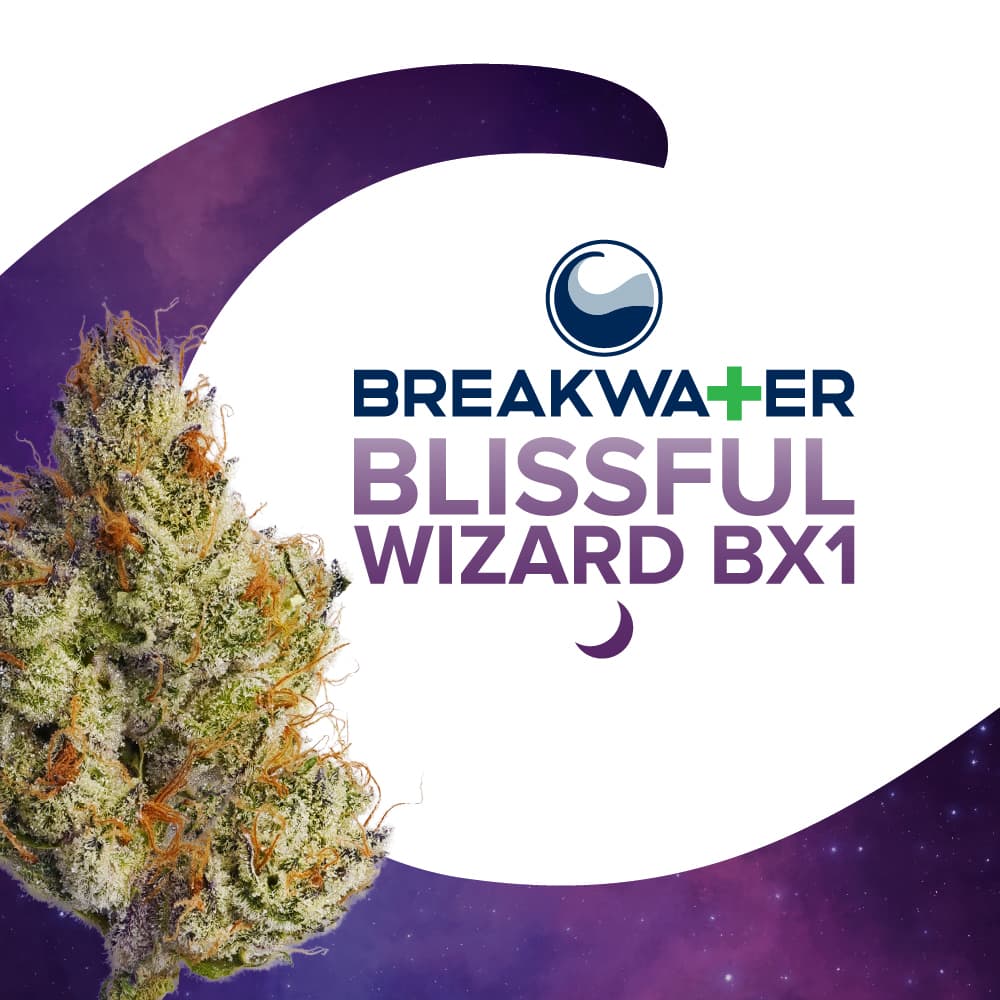 Breakwater Blissful Wizard Bx1 Premium Flower