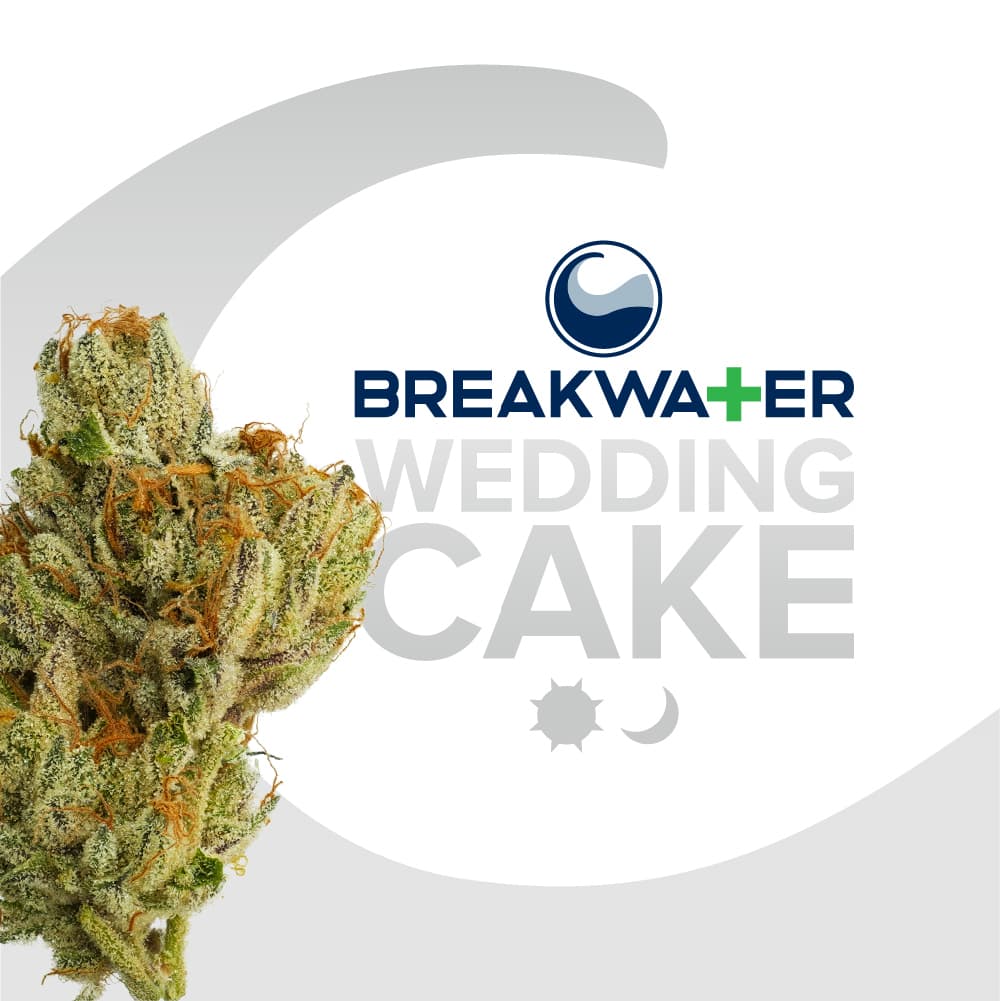 Breakwater Wedding Cake Premium Flower