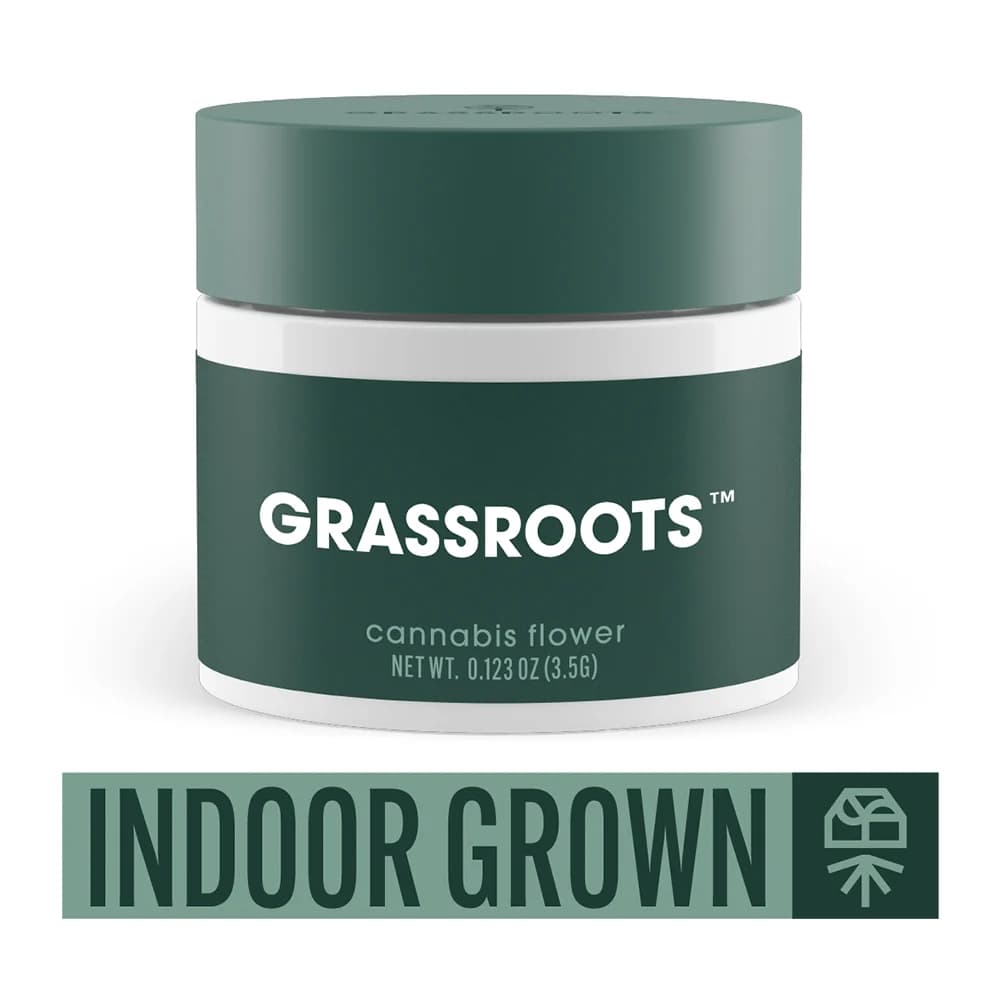 Grassroots Blue Lobster