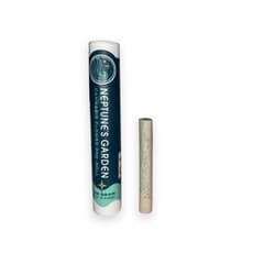 Neptune's Garden Nightmare Runtz | Pre-Roll | 1g