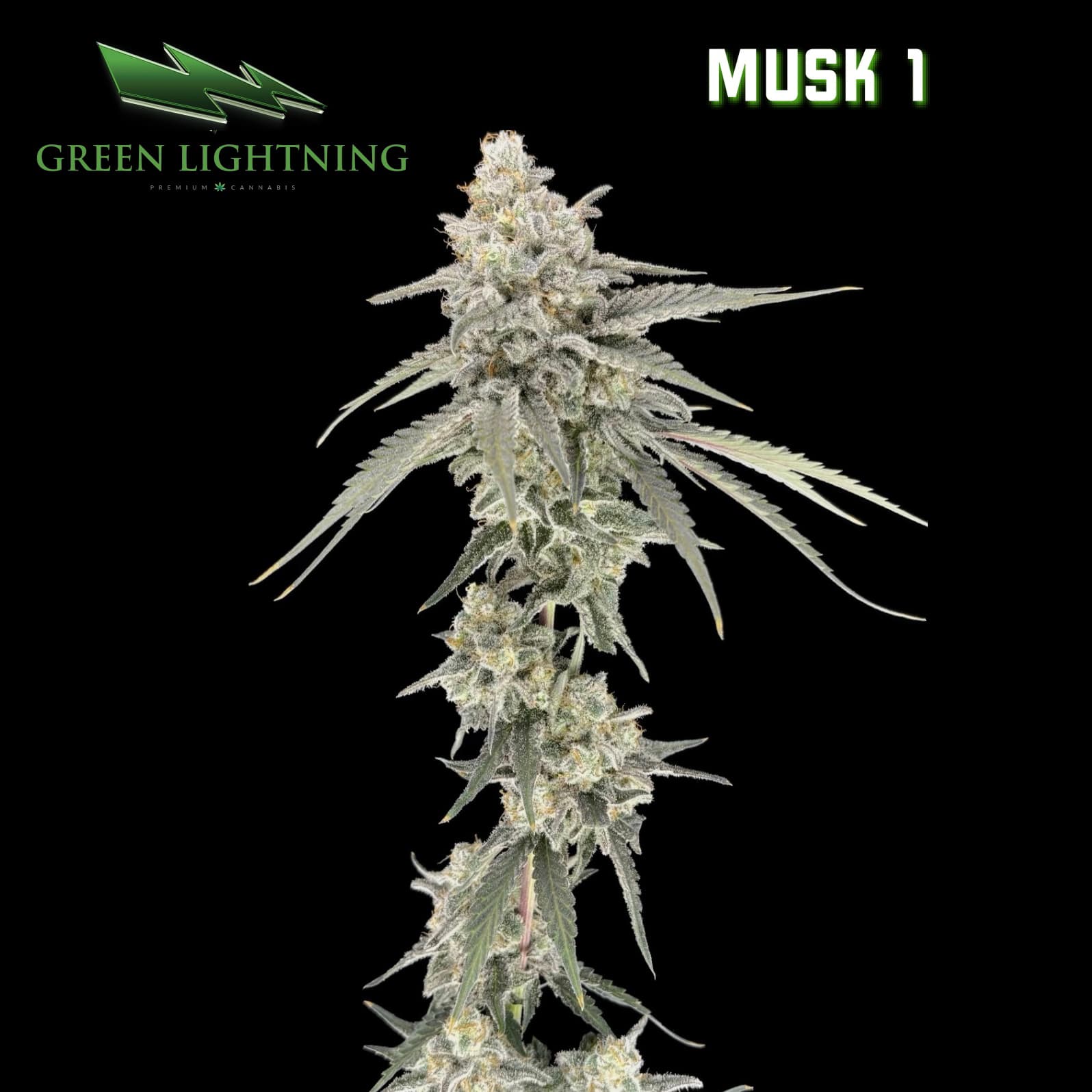GREEN LIGHTNING