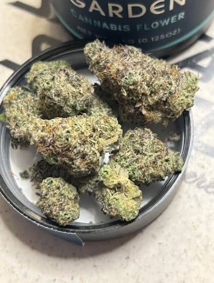 Neptune's Garden Lemon Ice Cream | Pre-Roll | 1g