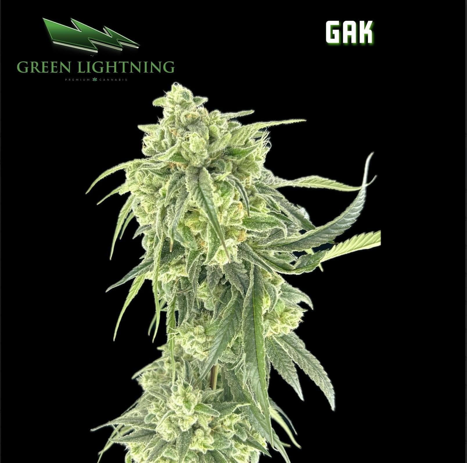 GREEN LIGHTNING