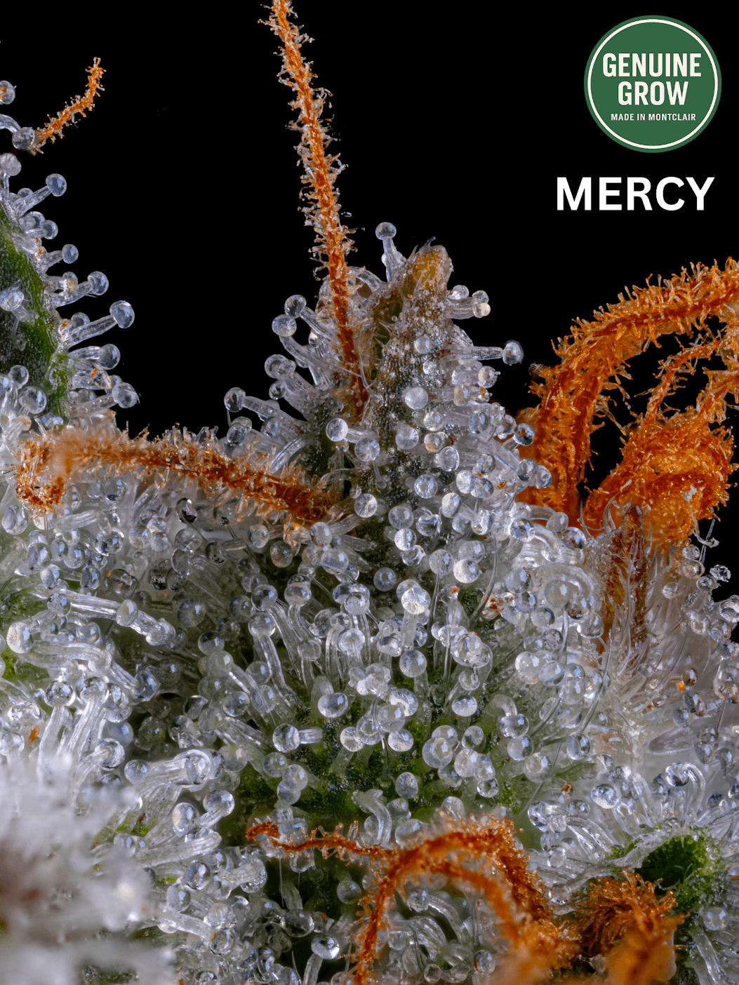 Genuine Grow Mercy | 3.5g