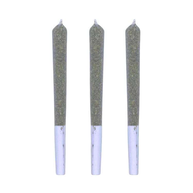 Victoria Cannabis Co.