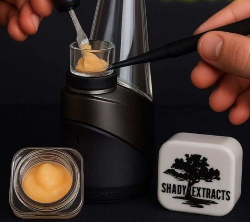 Shady Extracts Zunami Pie | Cured Badder | 1g