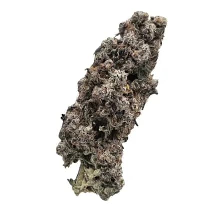 Rogworld Ultra Garlic LSO