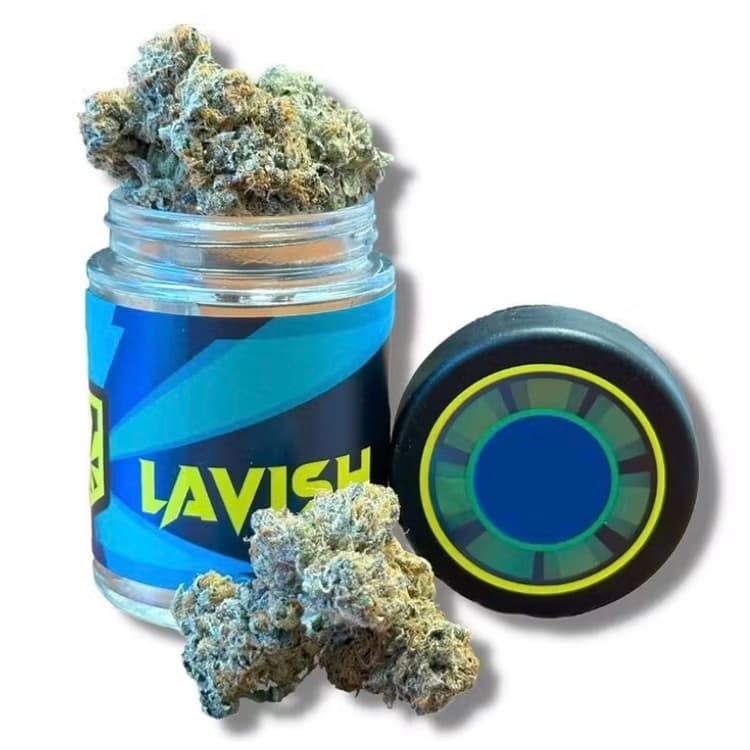 Lavish Pink Runtz Flower (Lavish)